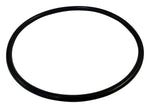 Load image into Gallery viewer, 1999 Jeep Wrangler Fuel Module Seal