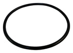 Load image into Gallery viewer, 2019 Chrysler 300 Fuel Module Seal