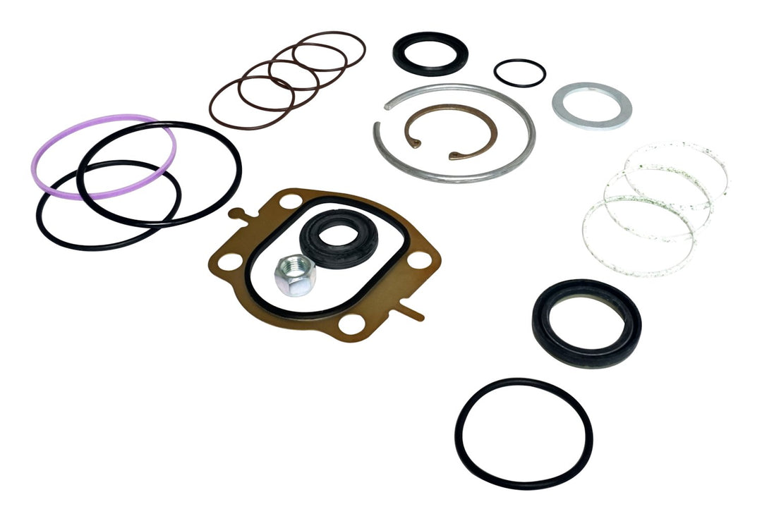 1995 Jeep Grand Cherokee Steering Box Master Seal Kit