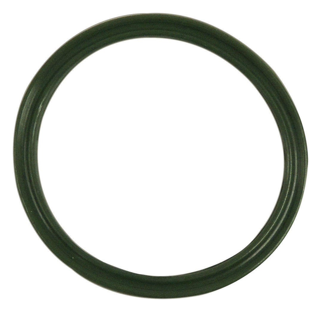 2010 Ram 1500 Vapor Canister Seal
