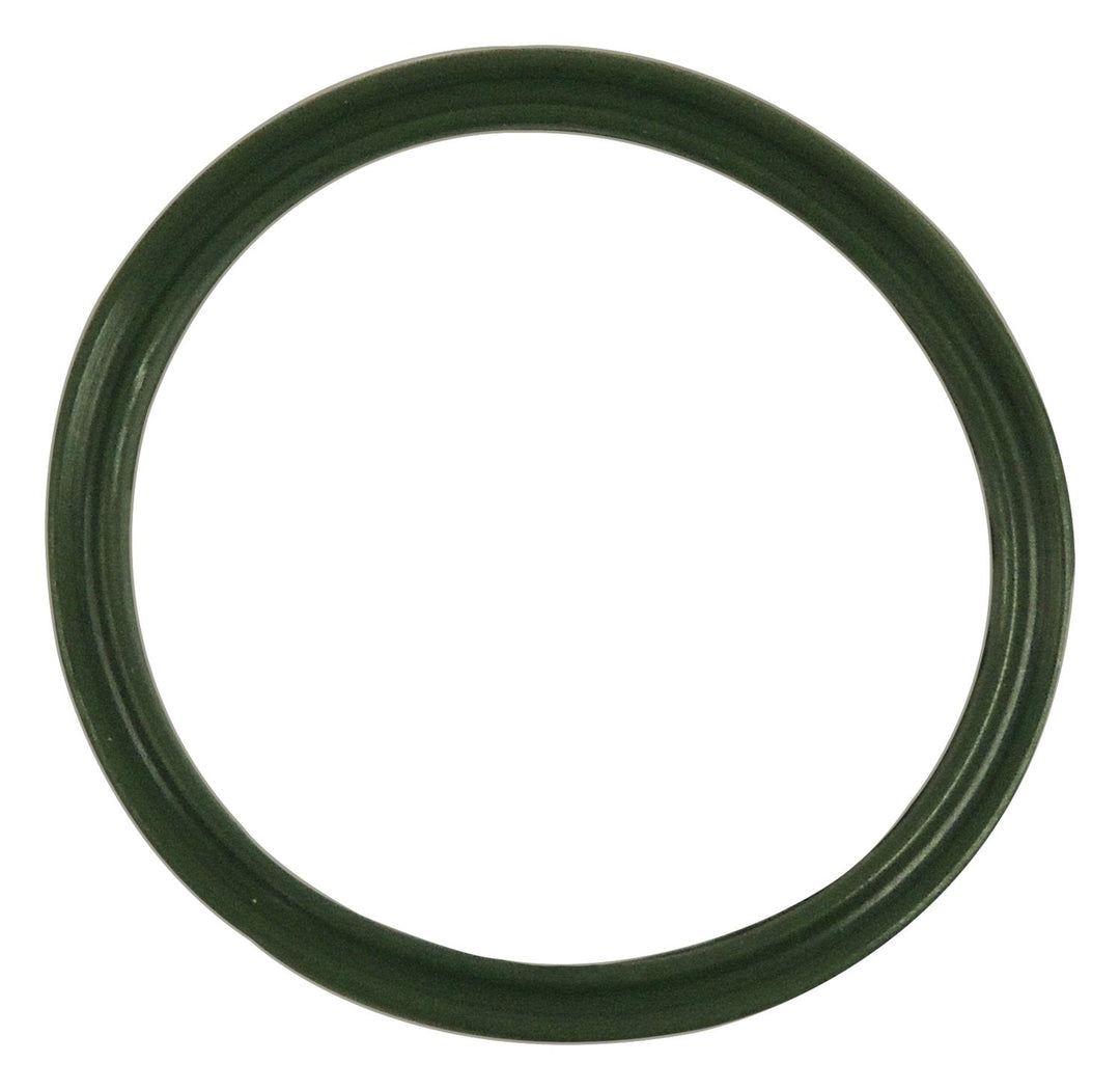 2009 Chrysler 300 Vapor Canister Seal