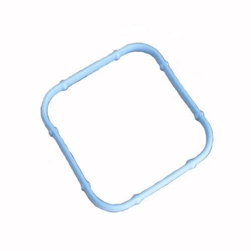 2014 Dodge Challenger Intake Gasket