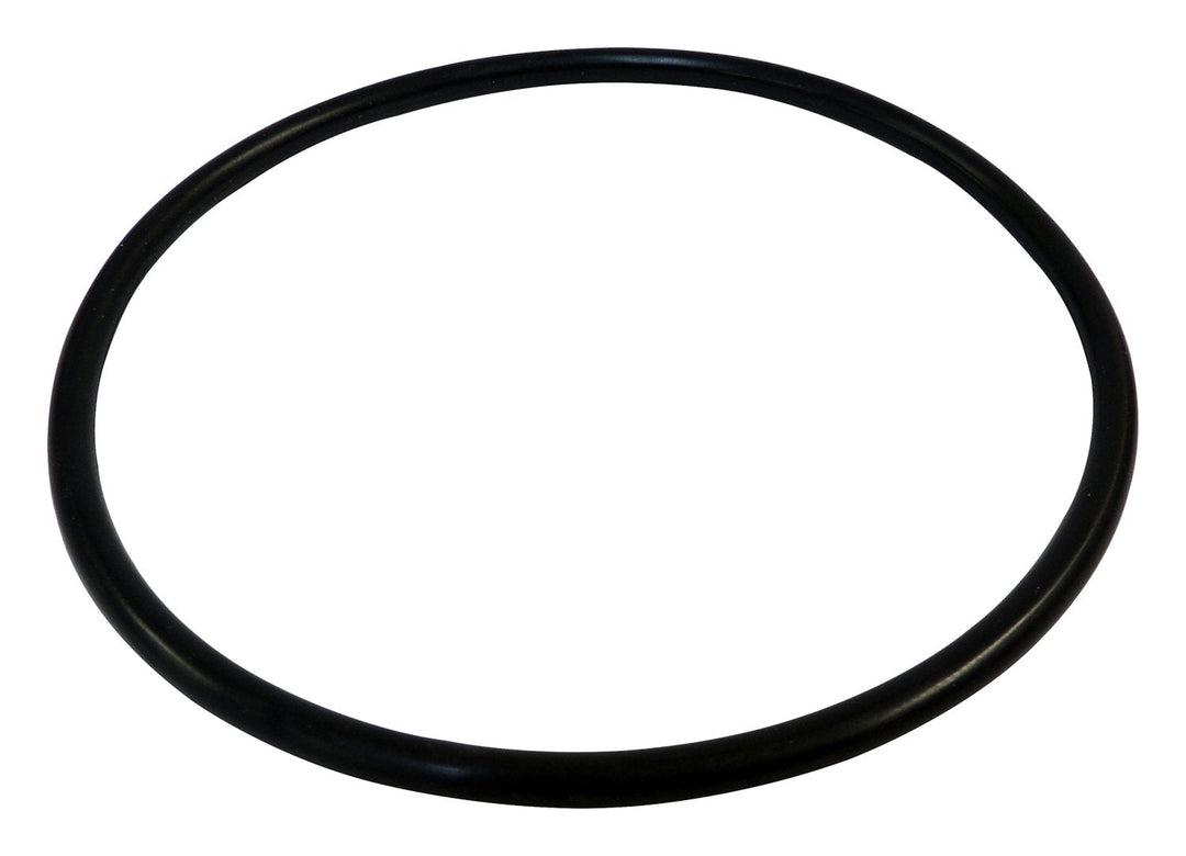 2021 Chrysler 300 Fuel Module Seal