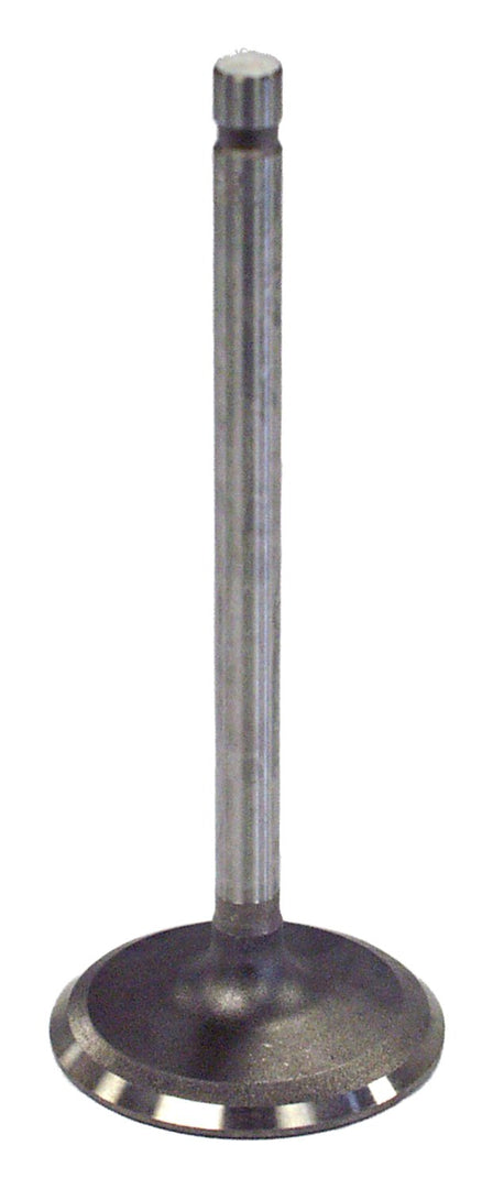 1981 Jeep CJ-5 Intake Valve
