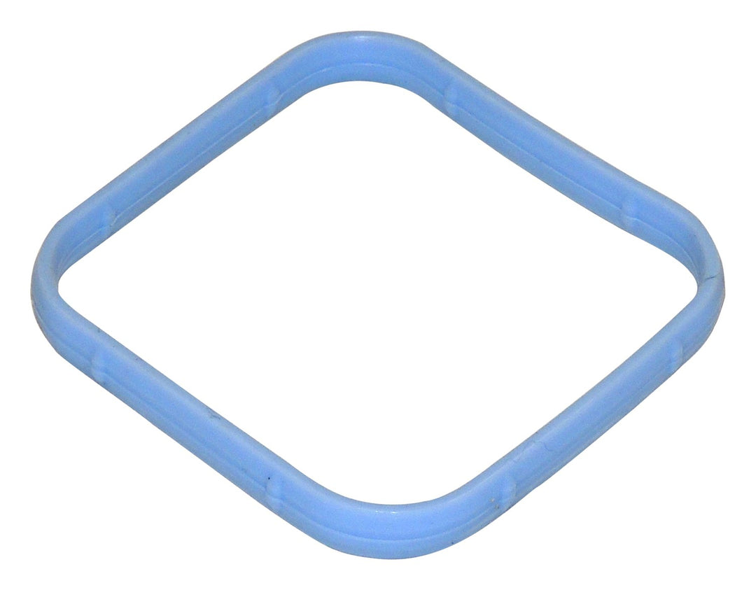 Intake Manifold Seal